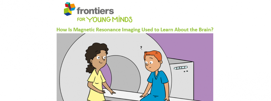 How Is Magnetic Resonance Imaging Used to Learn About the Brain?