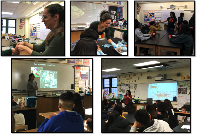 NAPL at Jose Marti High School